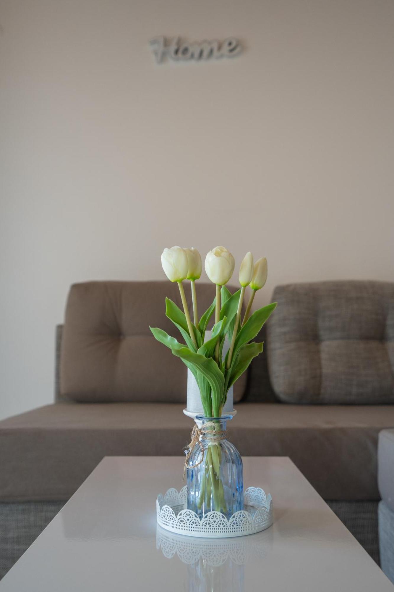Garden Resort - Apartments Maslina Potocnica المظهر الخارجي الصورة